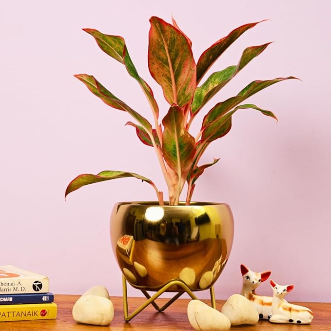Planters