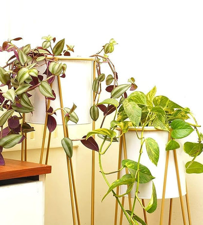 Plant Stand Tall Indoor Plant Stand with Planter Pot Set of 2- White Color
